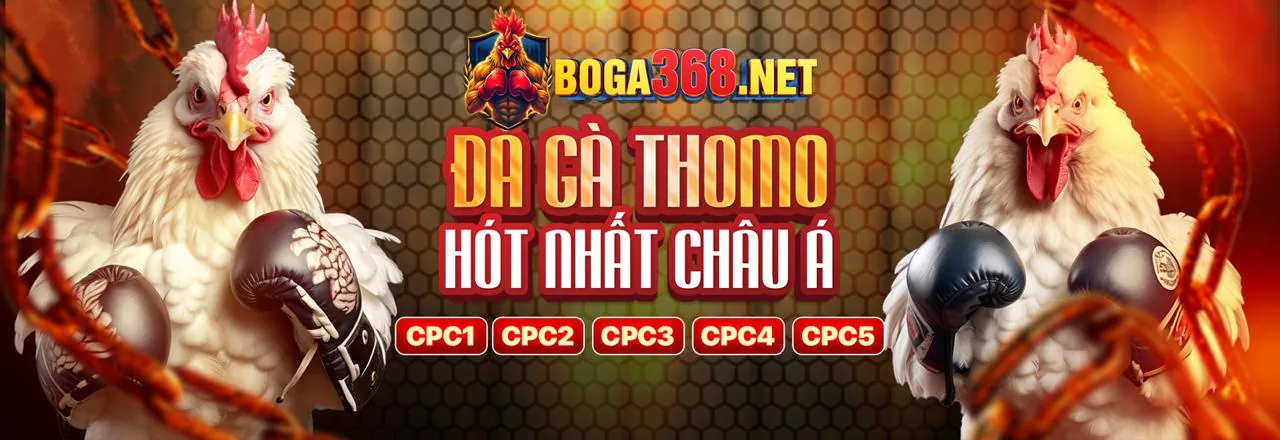 Đá gà trực tuyến TG88